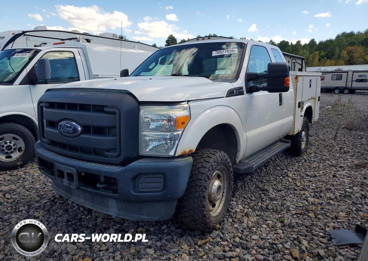 2016 Ford F250 Super Duty VIN:1FT7X2B65GEB56667 - 1