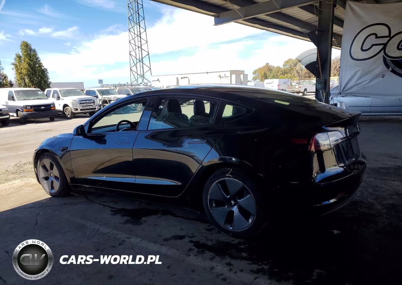 2022 Tesla Model 3 VIN:5YJ3E1EB2NF260004 - 2