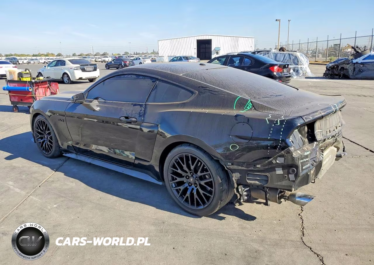 2016 Ford Mustang Gt VIN:1FA6P8CF9G5252871 - 2