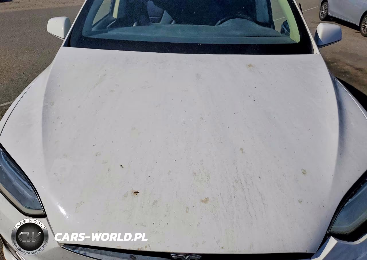 2016 Tesla Model X VIN:5YJXCDE24GF026166 - 12