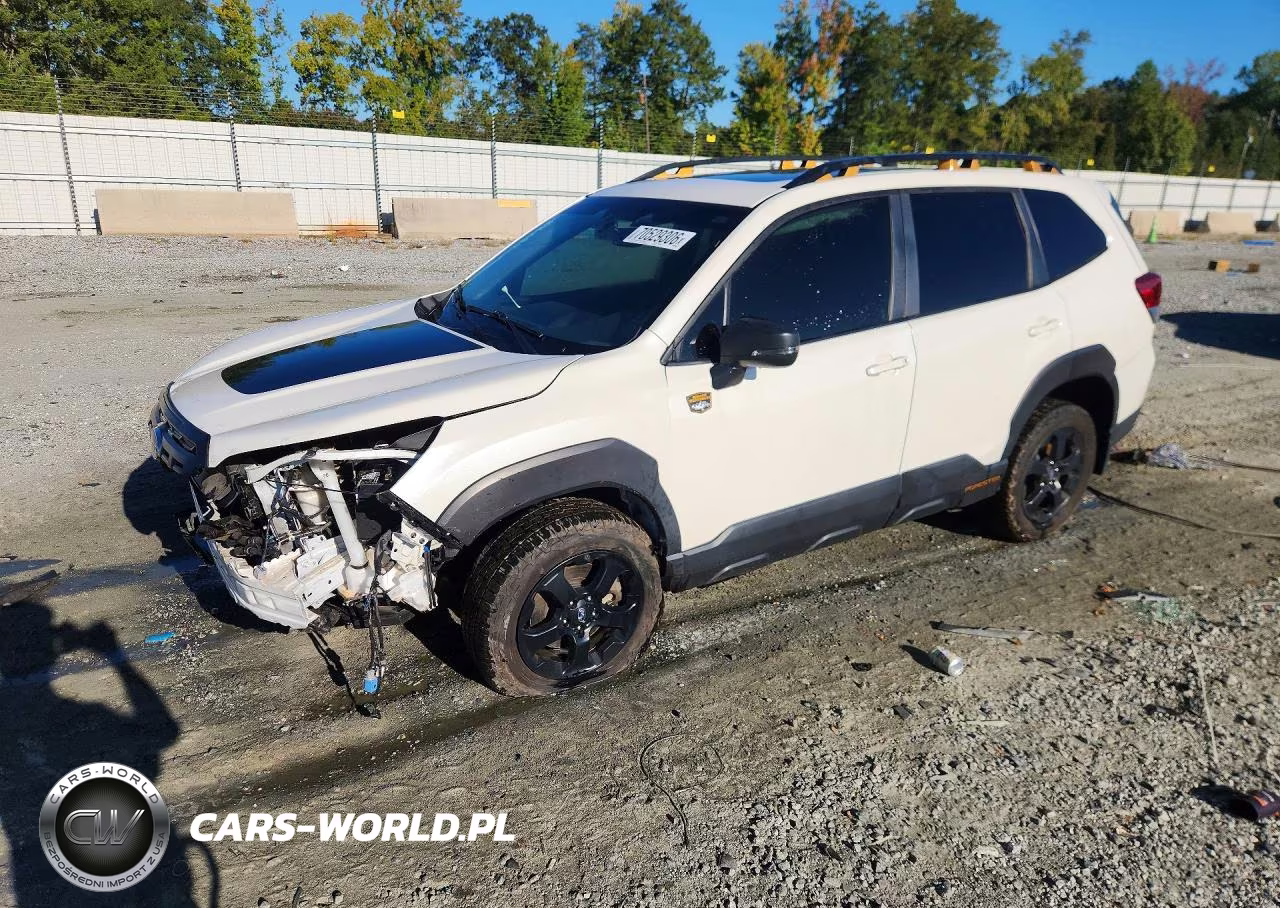 2022 Subaru Forester Wilderness VIN:JF2SKAMC6NH409756 - 1
