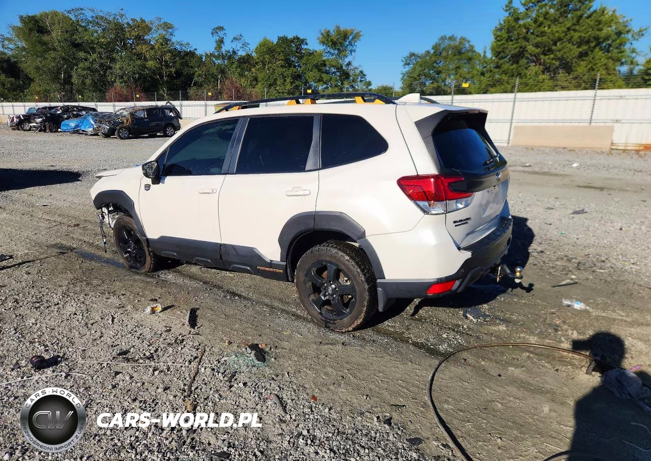 2022 Subaru Forester Wilderness VIN:JF2SKAMC6NH409756 - 2