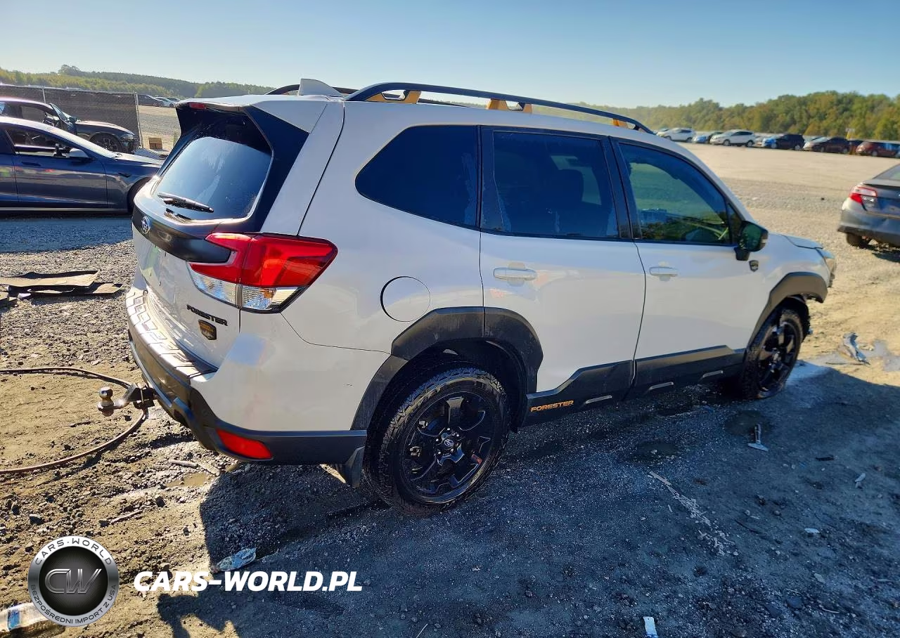 2022 Subaru Forester Wilderness VIN:JF2SKAMC6NH409756 - 3