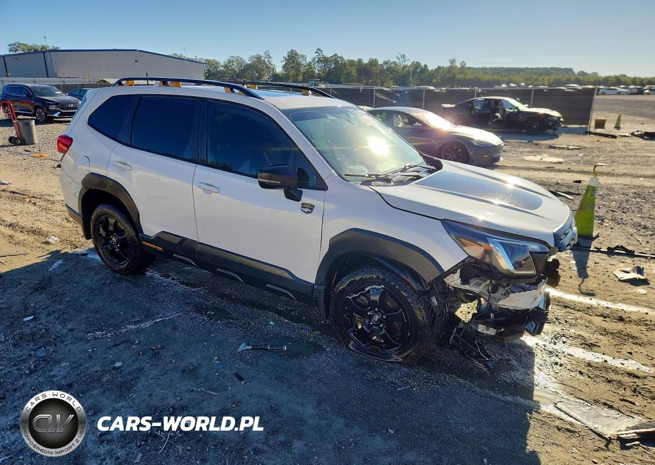 2022 Subaru Forester Wilderness VIN:JF2SKAMC6NH409756 - 4