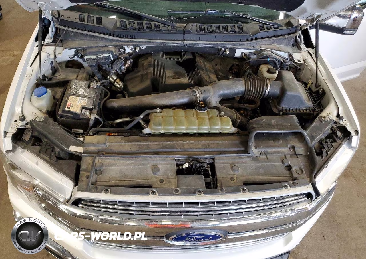 2019 Ford F150 Supercrew VIN:1FTFW1E49KKE94490 - 11