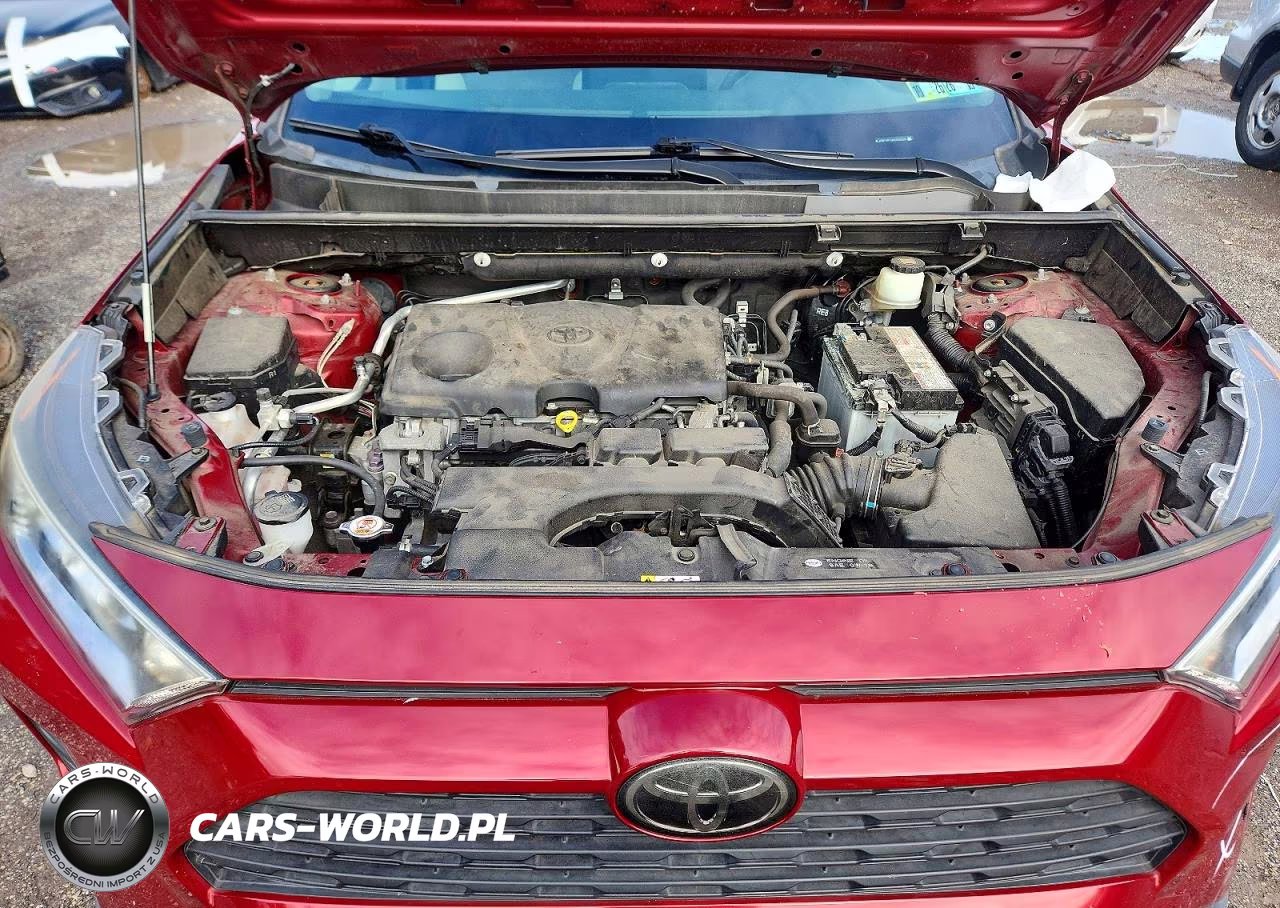 2019 Toyota Rav4 Xle VIN:JTMP1RFV2KD506329 - 12