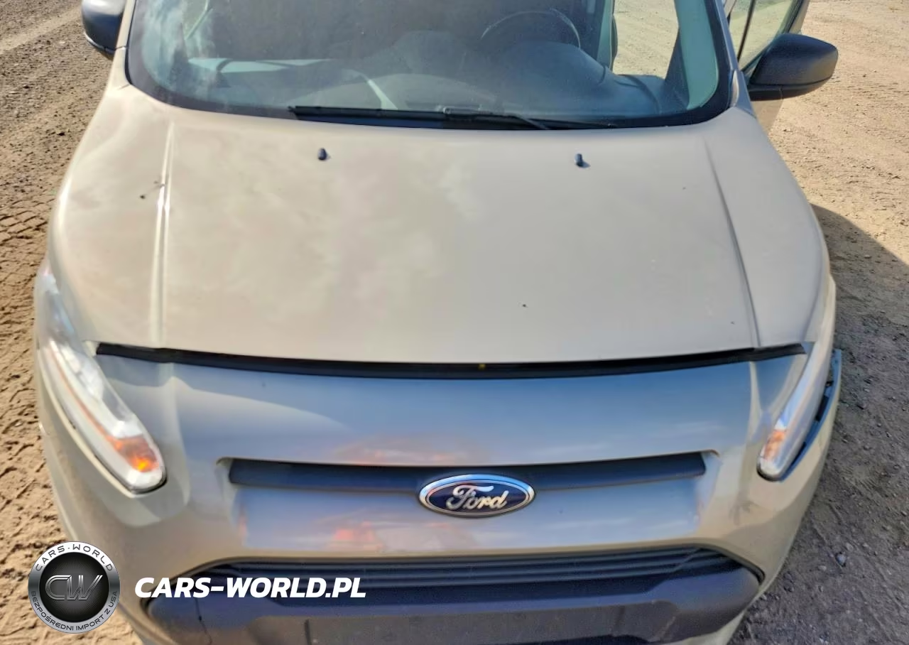 2016 Ford Transit Connect Xlt VIN:NM0GE9F76G1274877 - 12