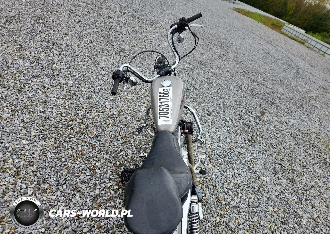 2007 Harley-Davidson Xl883 VIN:1HD4CN2197K422387 - 6