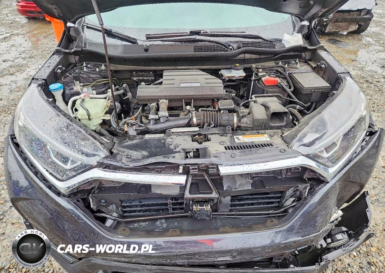 2019 Honda Cr-V Ex VIN:5J6RW2H58KA019064 - 12