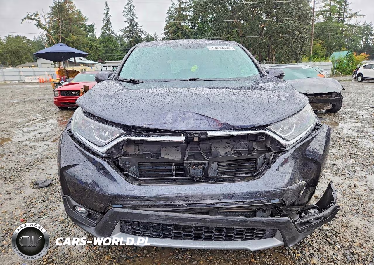 2019 Honda Cr-V Ex VIN:5J6RW2H58KA019064 - 5