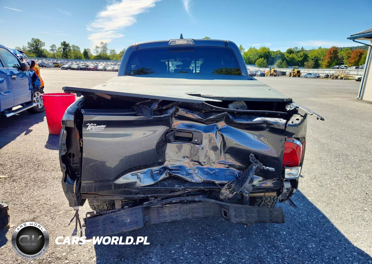 2020 Toyota Tacoma Trd Off-Road VIN:3TMCZ5AN0LM303632 - 6