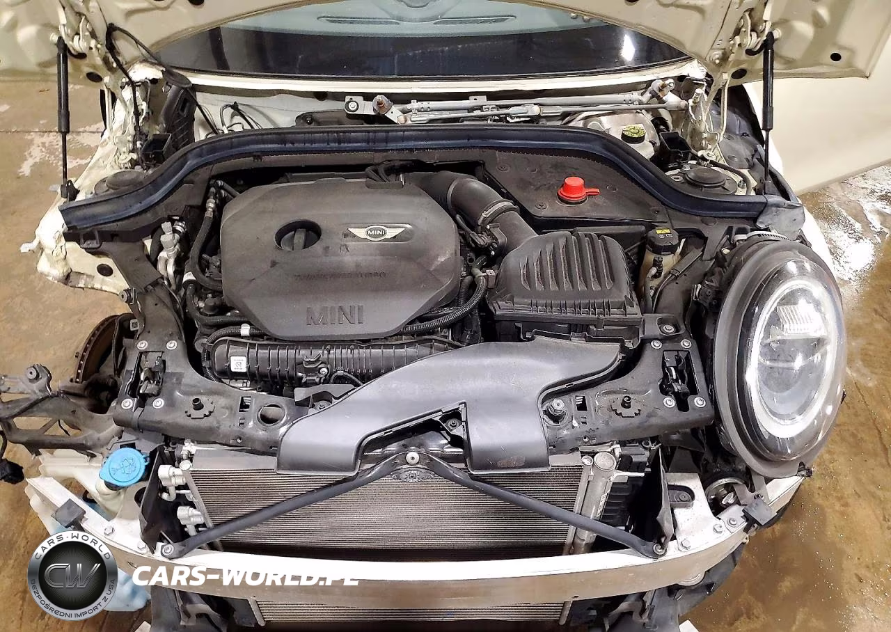 2019 Mini Cooper S VIN:WMWXU3C58K2H87010 - 11