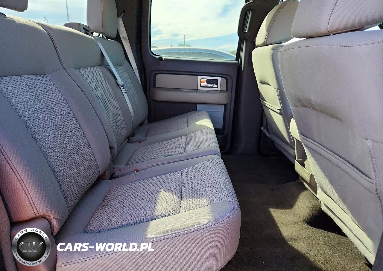 2010 Ford F150 Supercrew VIN:1FTFW1CV6AFC36219 - 10