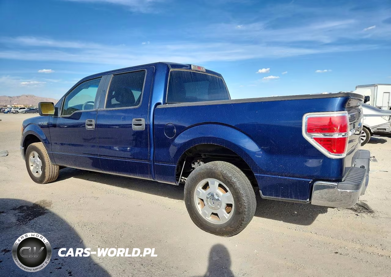 2010 Ford F150 Supercrew VIN:1FTFW1CV6AFC36219 - 2