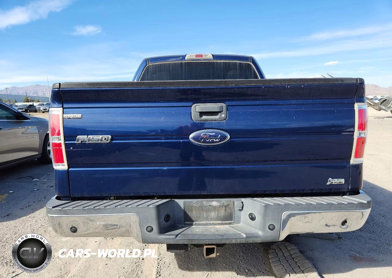 2010 Ford F150 Supercrew VIN:1FTFW1CV6AFC36219 - 6