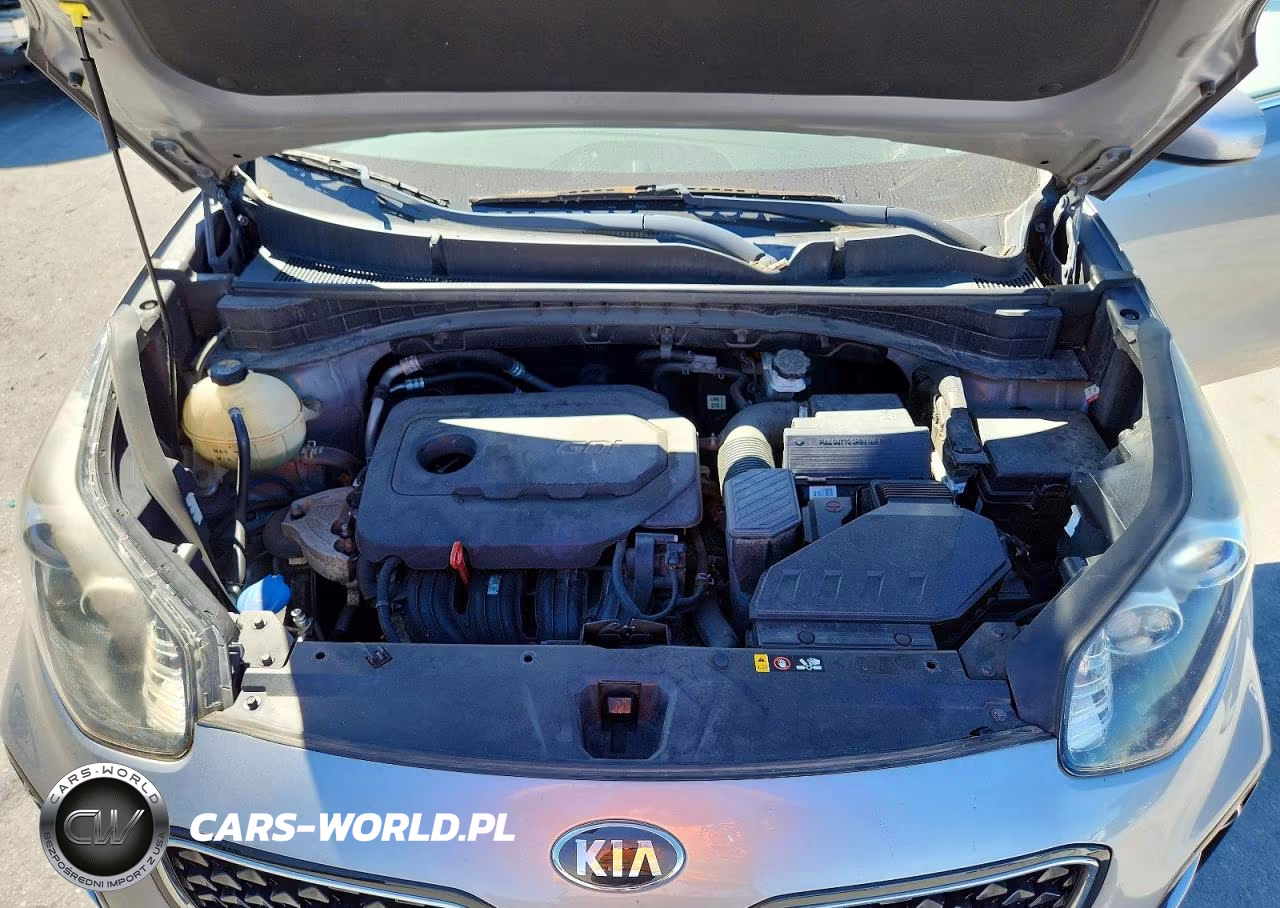 2019 Kia Sportage Lx VIN:KNDPMCAC6K7592401 - 12