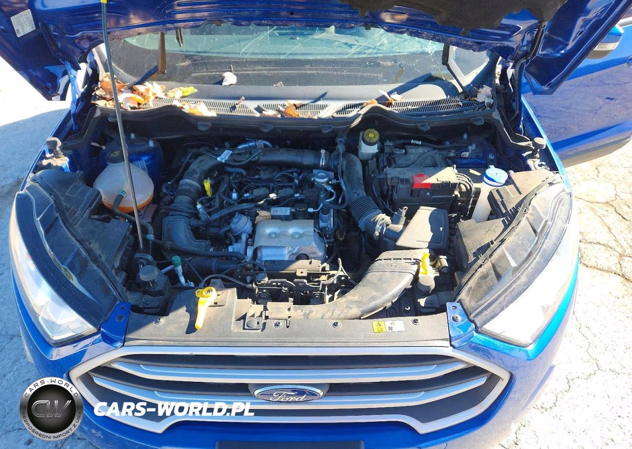2021 Ford Ecosport Se VIN:MAJ3S2GE1MC399547 - 12