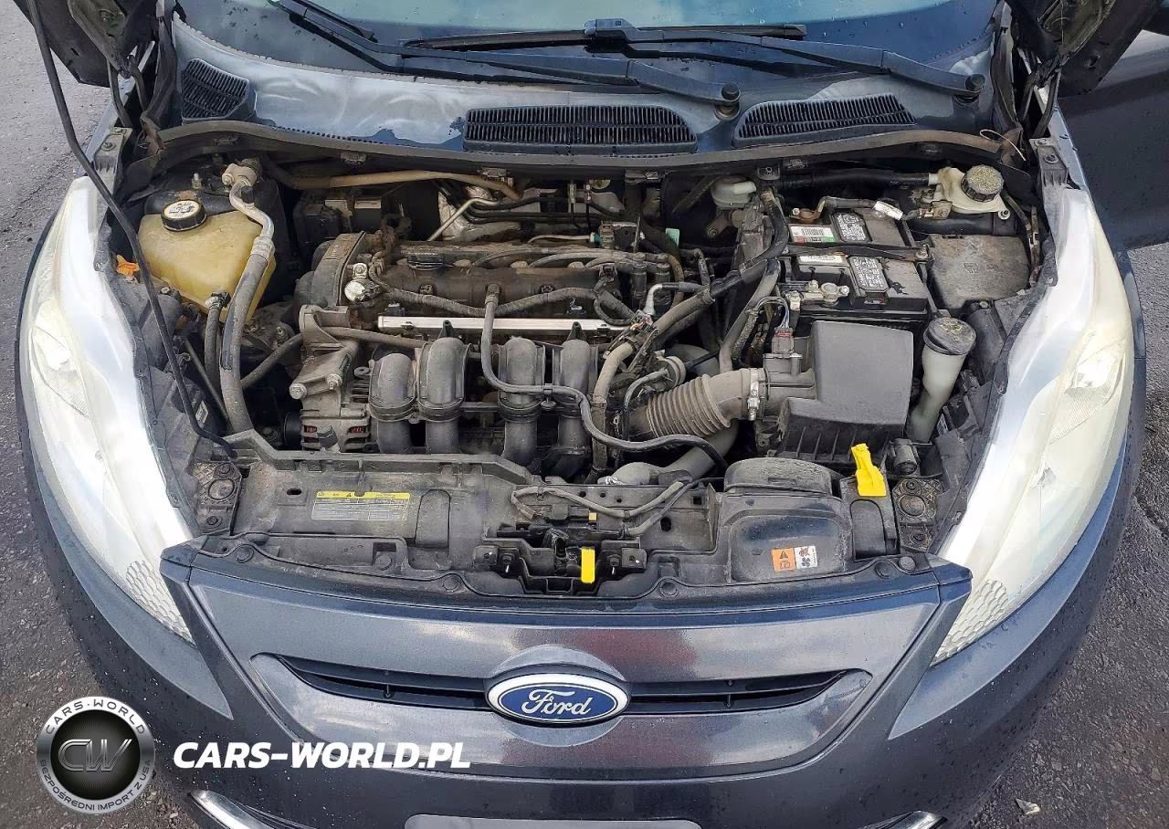 2011 Ford Fiesta Se VIN:3FADP4EJ8BM156721 - 11