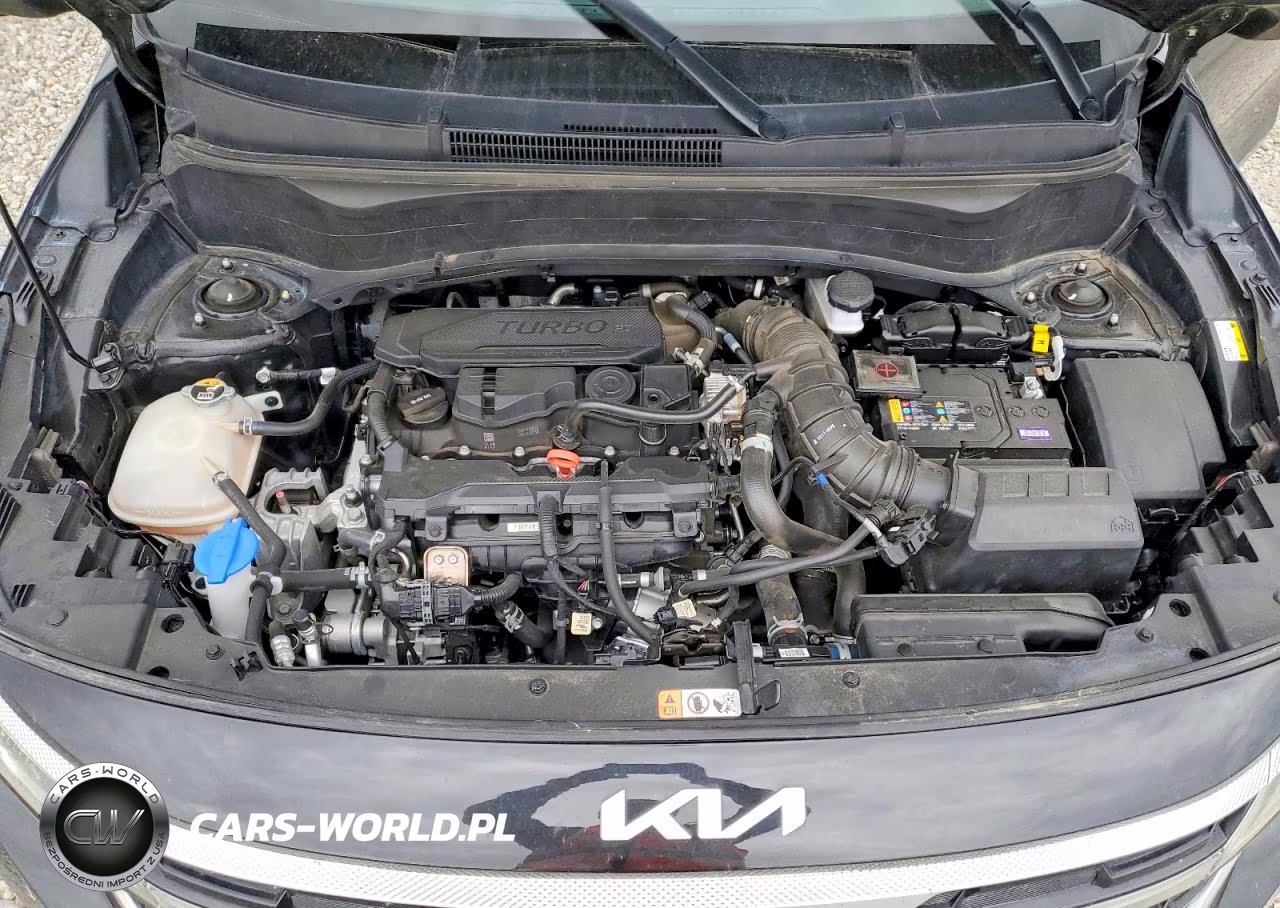 2024 Kia Seltos Sx VIN:KNDETCA70R7620605 - 12