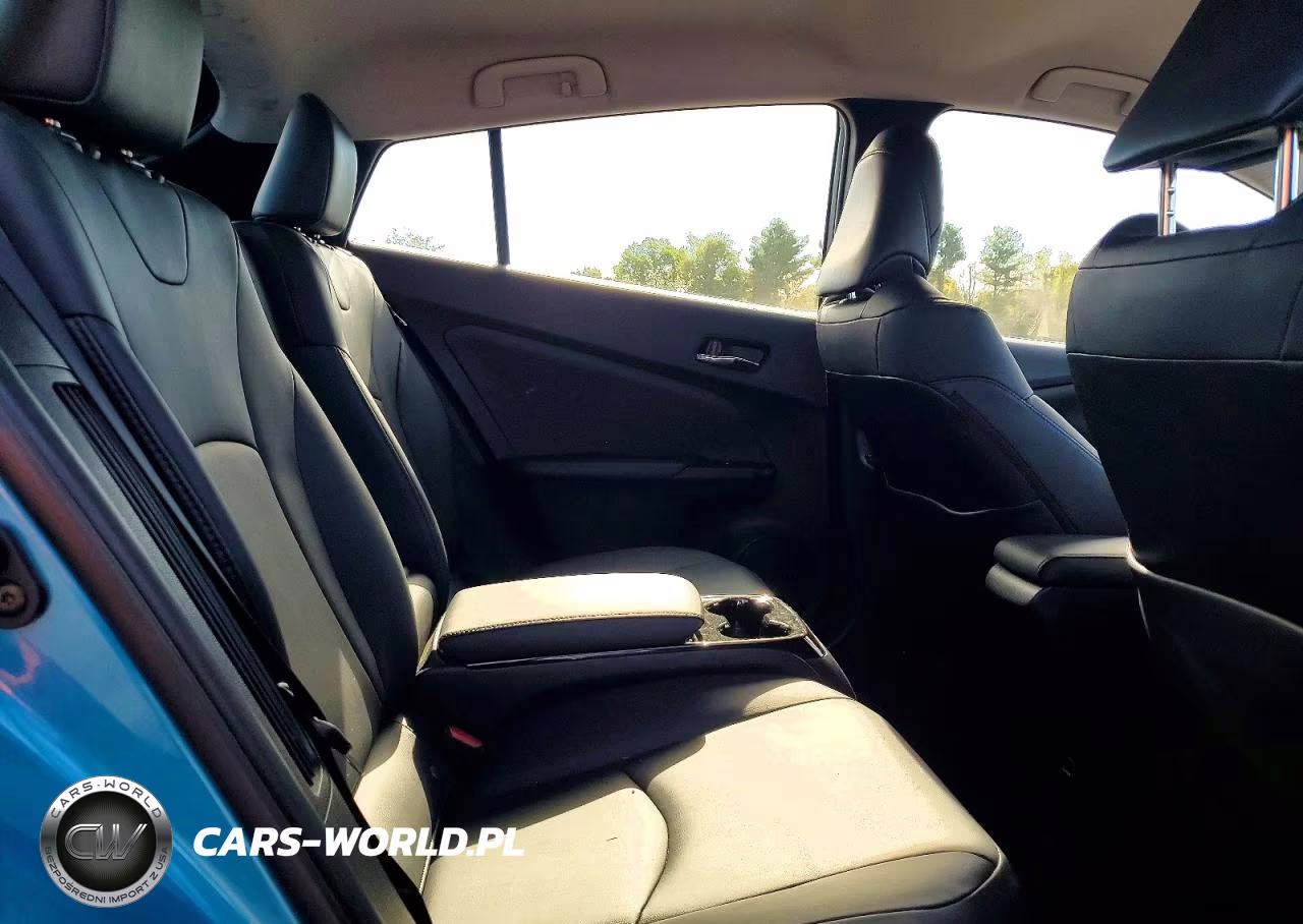 2018 Toyota Prius Prime Advanced VIN:JTDKARFP4J3078103 - 10