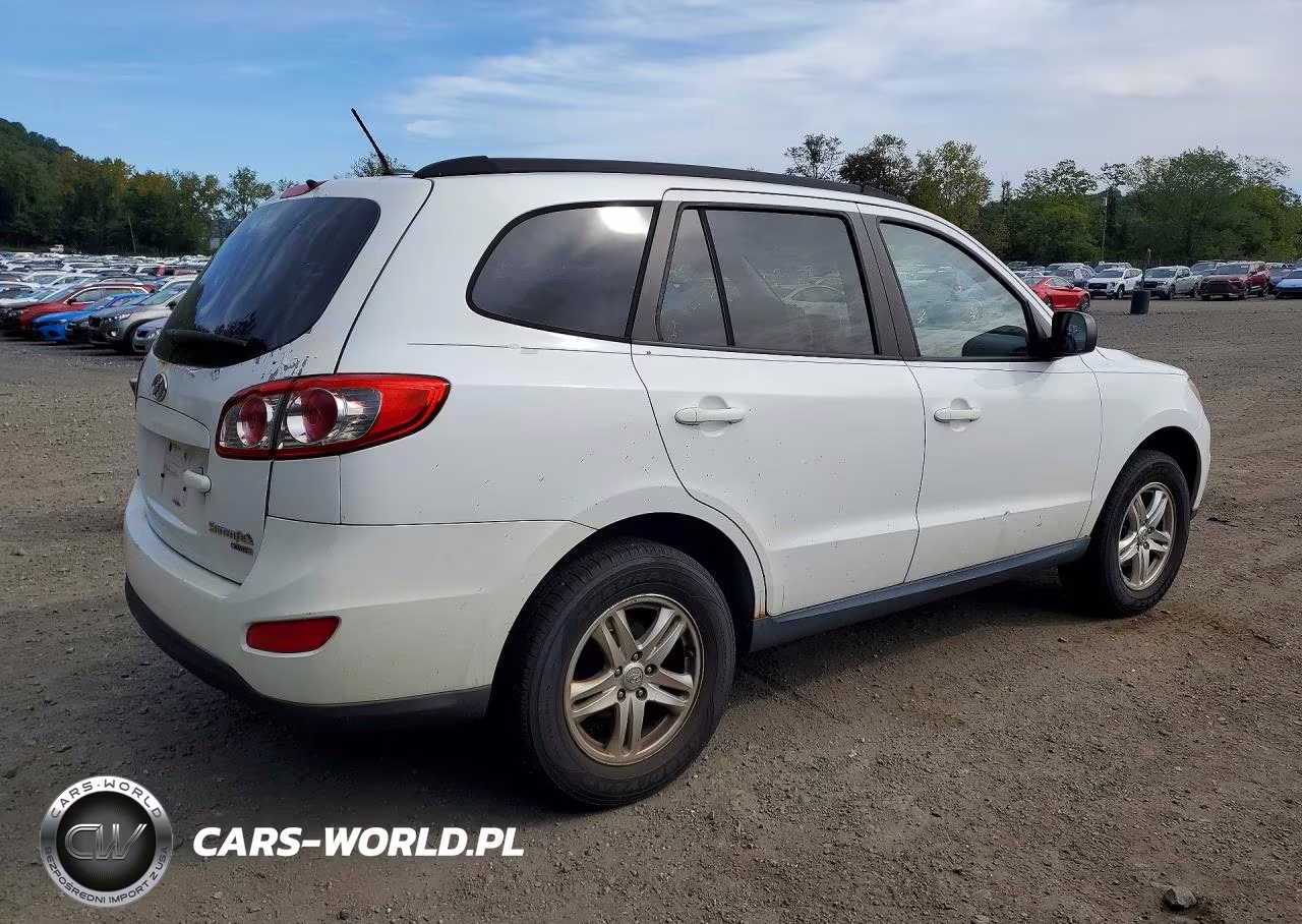2010 Hyundai Santa Fe Gls VIN:5NMSGDABXAH348529 - 3