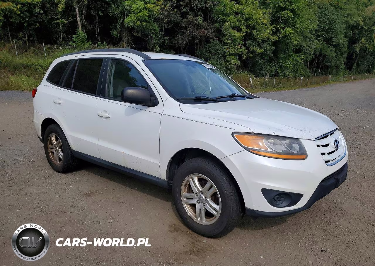 2010 Hyundai Santa Fe Gls VIN:5NMSGDABXAH348529 - 4