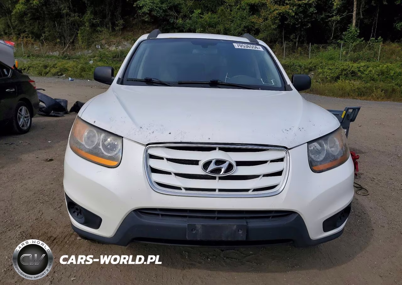 2010 Hyundai Santa Fe Gls VIN:5NMSGDABXAH348529 - 5
