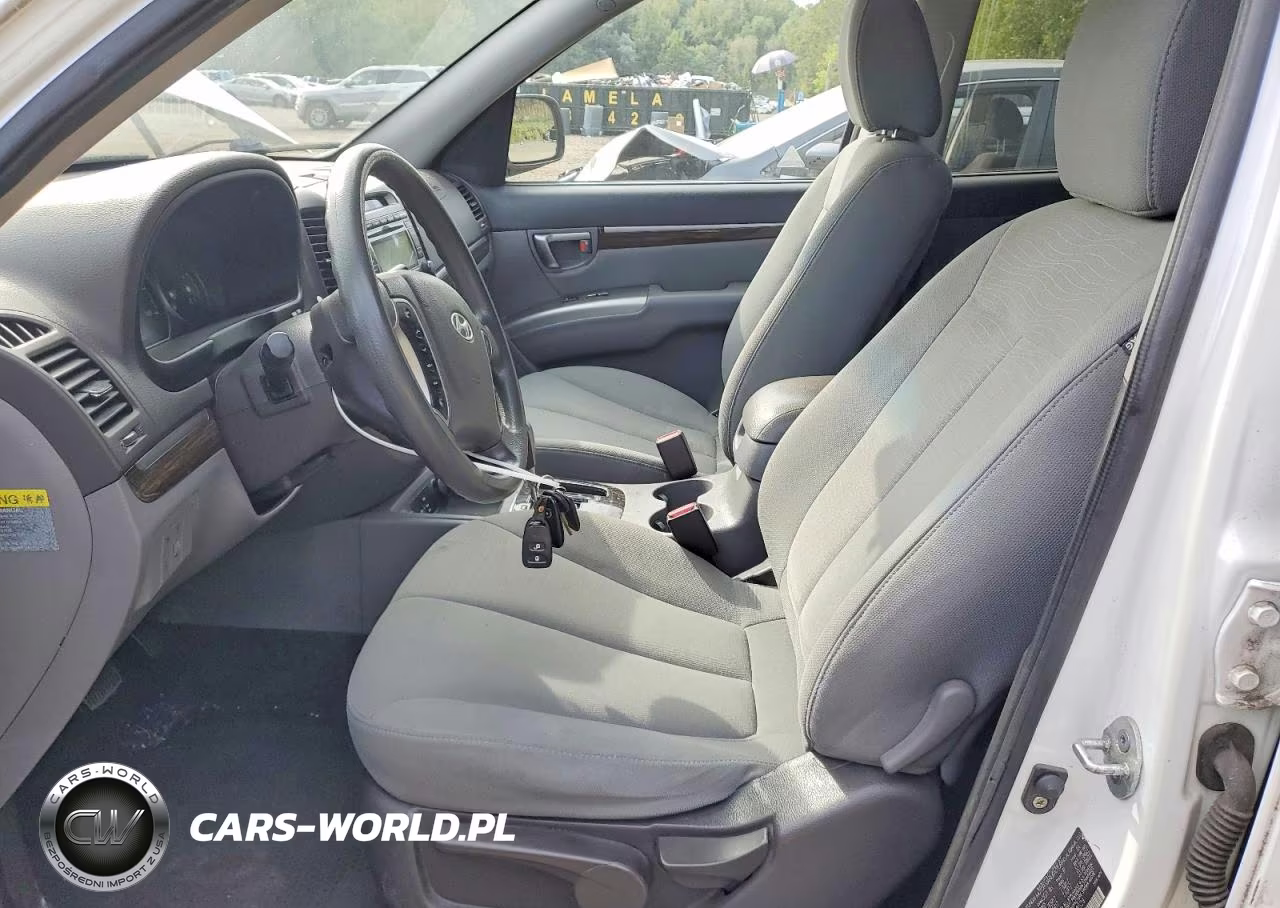 2010 Hyundai Santa Fe Gls VIN:5NMSGDABXAH348529 - 7
