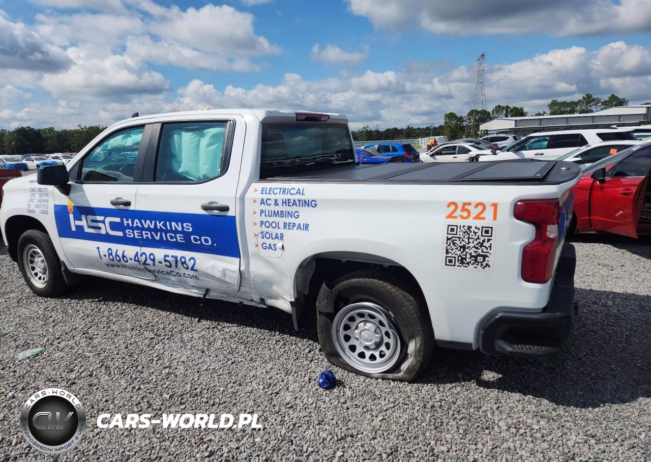 2025 Chevrolet Silverado C1500 VIN:3GCPAAEK9SG244580 - 2