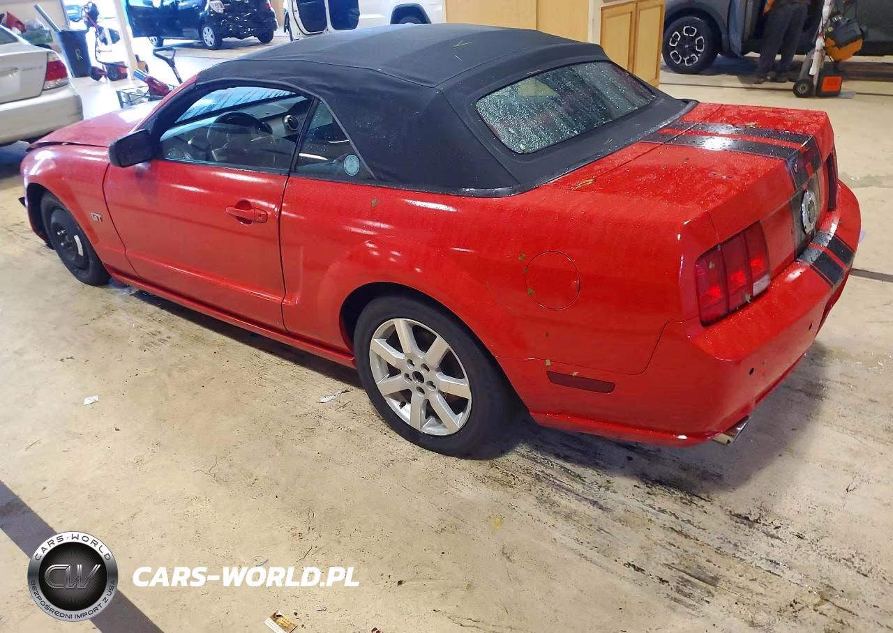 2005 Ford Mustang Gt VIN:1ZVHT85H855245644 - 2