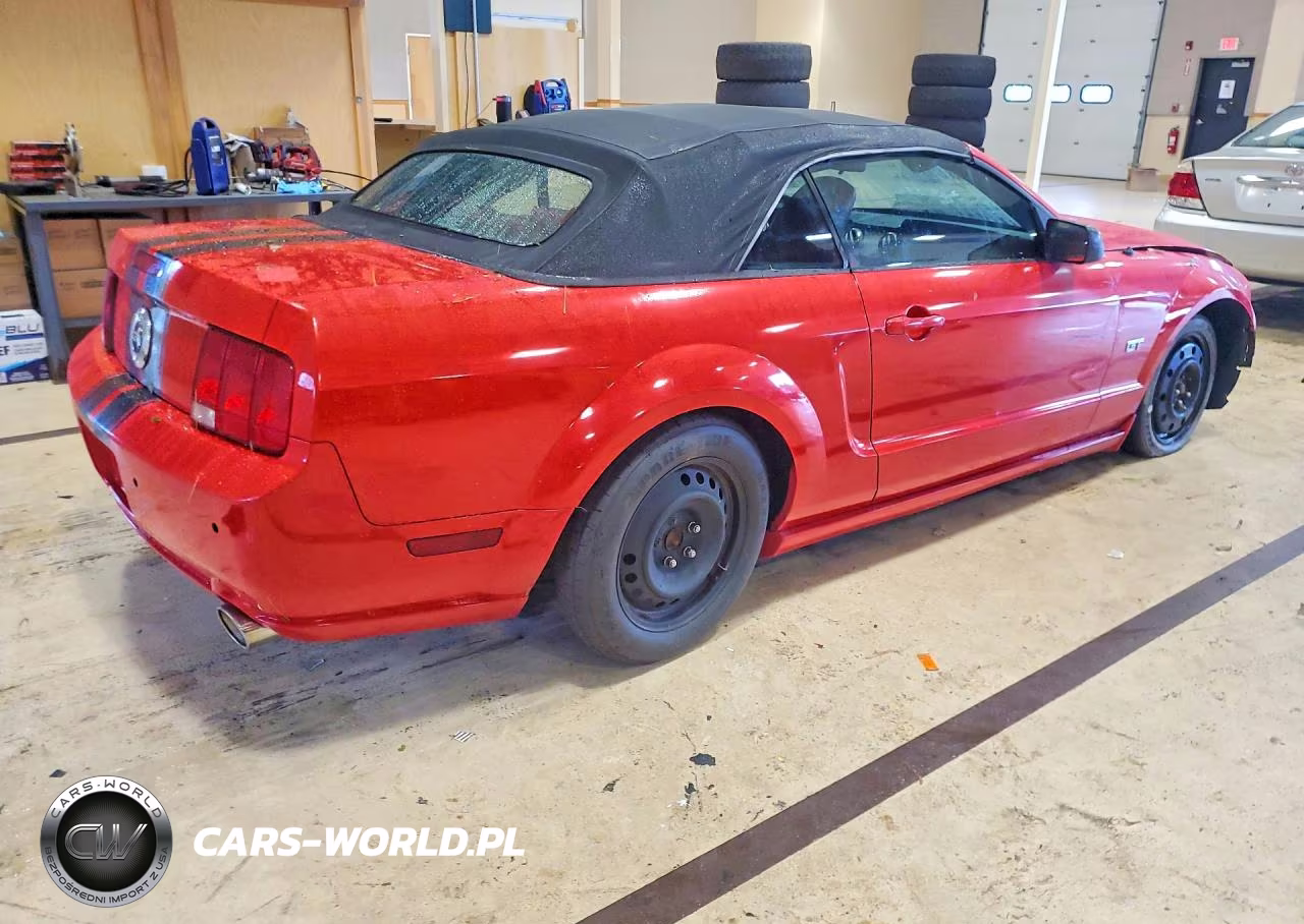 2005 Ford Mustang Gt VIN:1ZVHT85H855245644 - 3