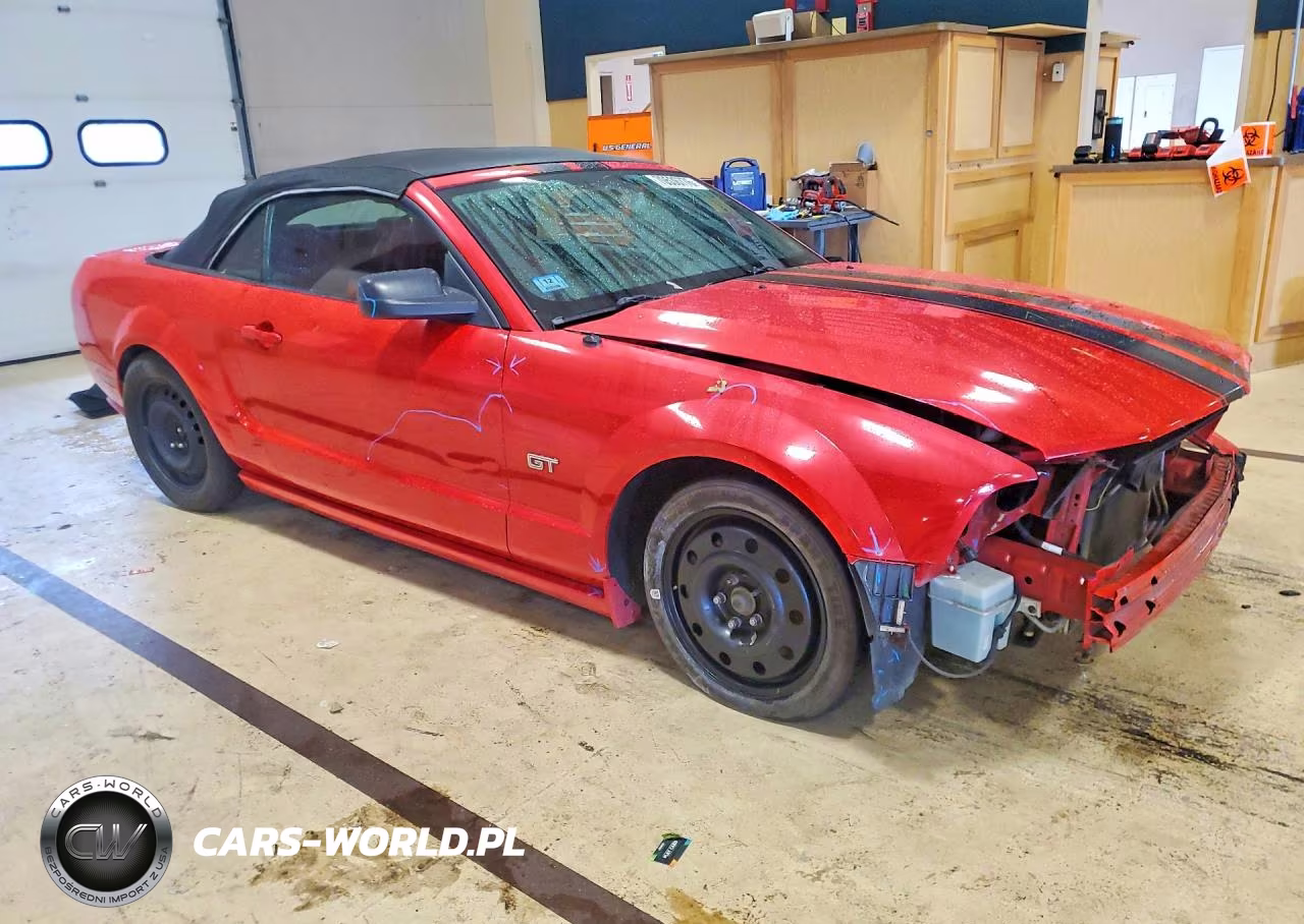 2005 Ford Mustang Gt VIN:1ZVHT85H855245644 - 4