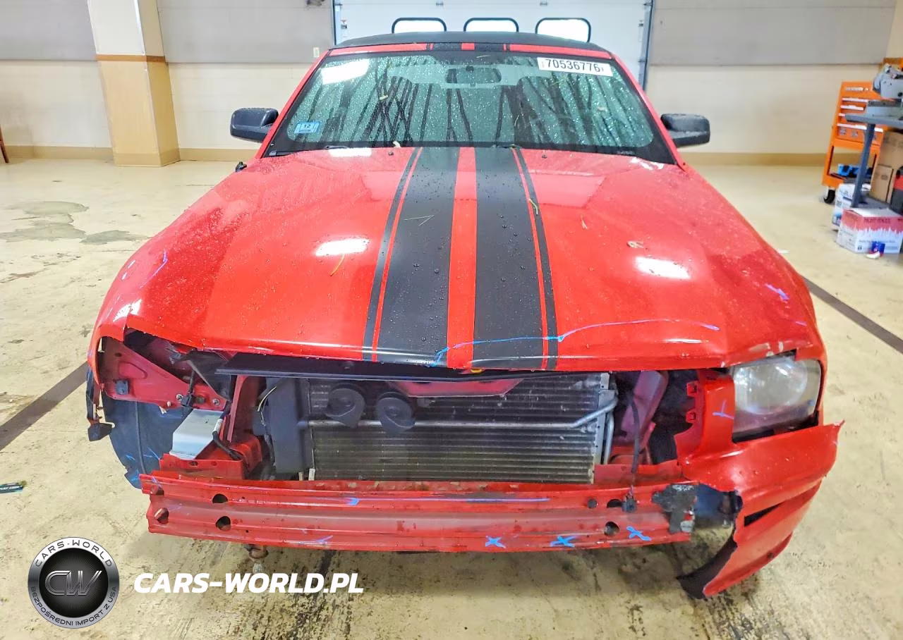 2005 Ford Mustang Gt VIN:1ZVHT85H855245644 - 5