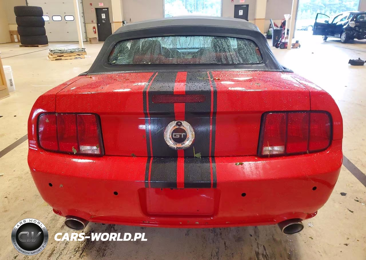 2005 Ford Mustang Gt VIN:1ZVHT85H855245644 - 6