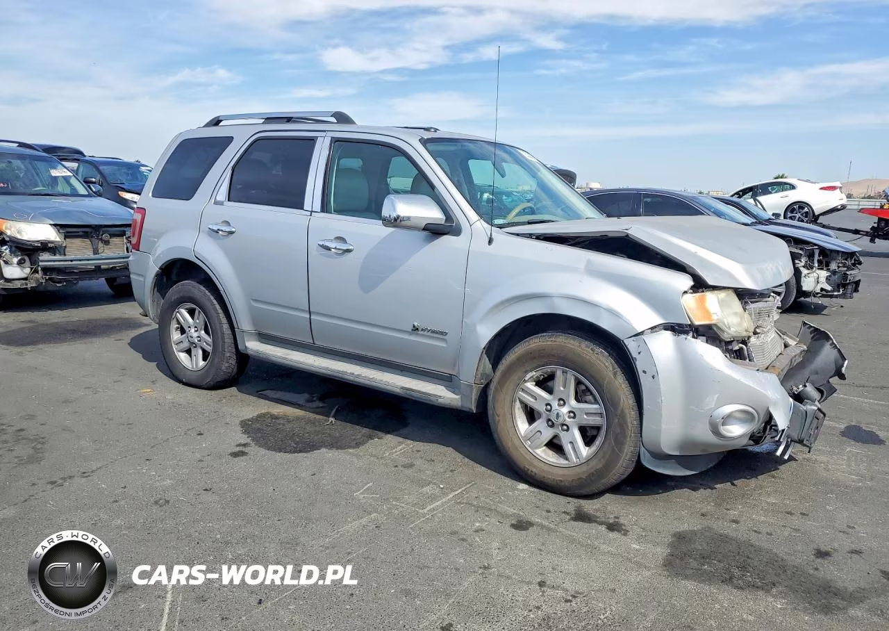 2009 Ford Escape Hybrid VIN:1FMCU49389KB10524 - 4