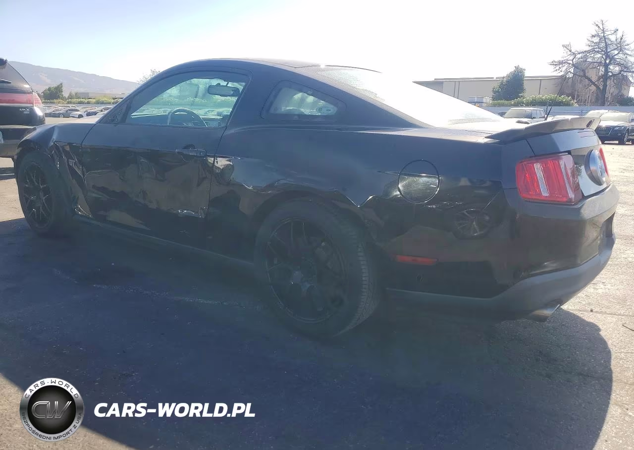 2010 Ford Mustang Gt VIN:1ZVBP8CH9A5159816 - 2