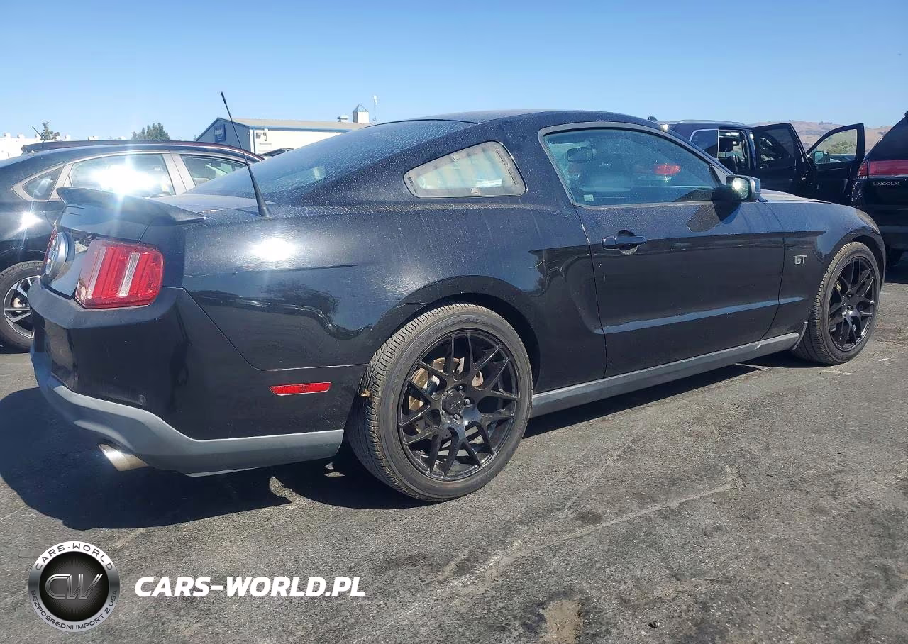 2010 Ford Mustang Gt VIN:1ZVBP8CH9A5159816 - 3