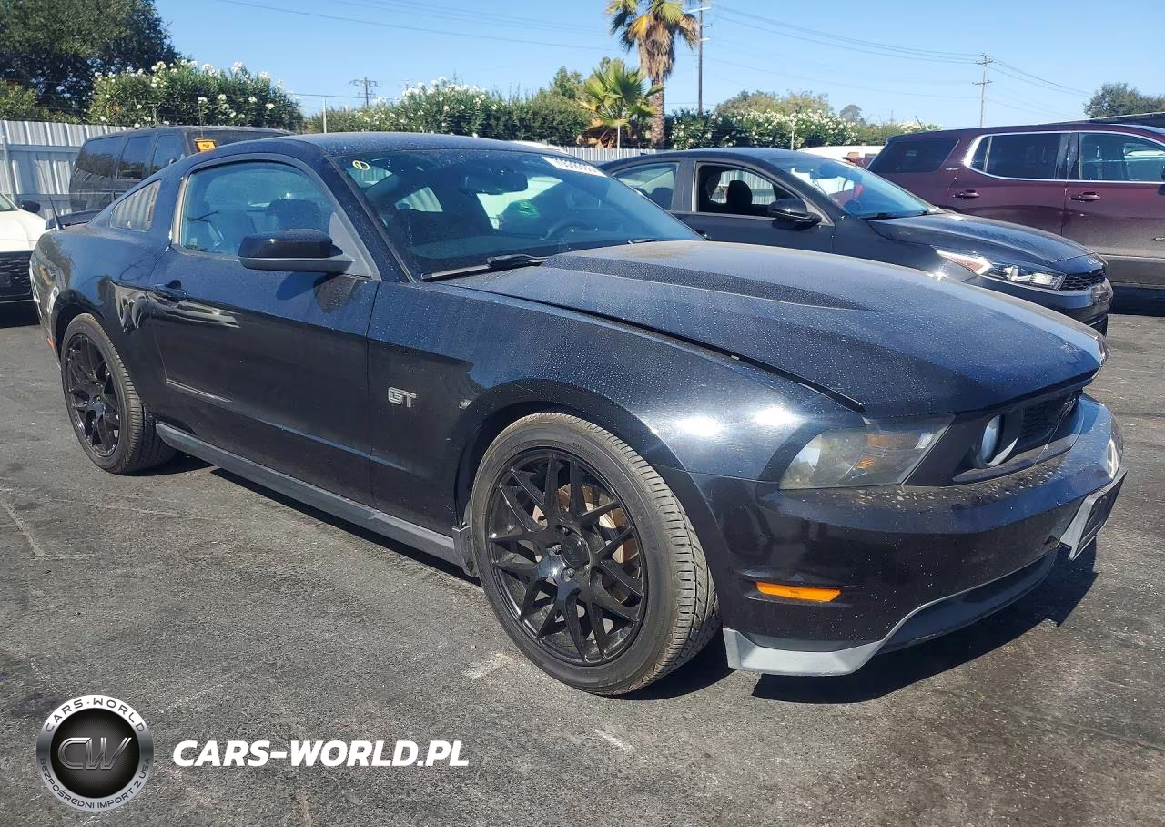 2010 Ford Mustang Gt VIN:1ZVBP8CH9A5159816 - 4