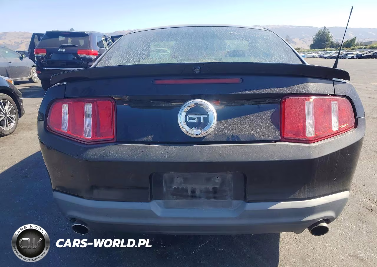 2010 Ford Mustang Gt VIN:1ZVBP8CH9A5159816 - 6