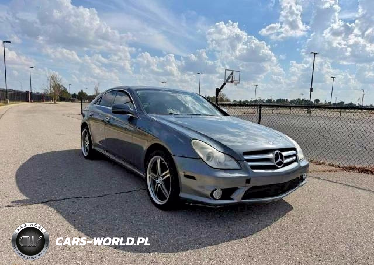 2010 Mercedes-Benz Cls 550