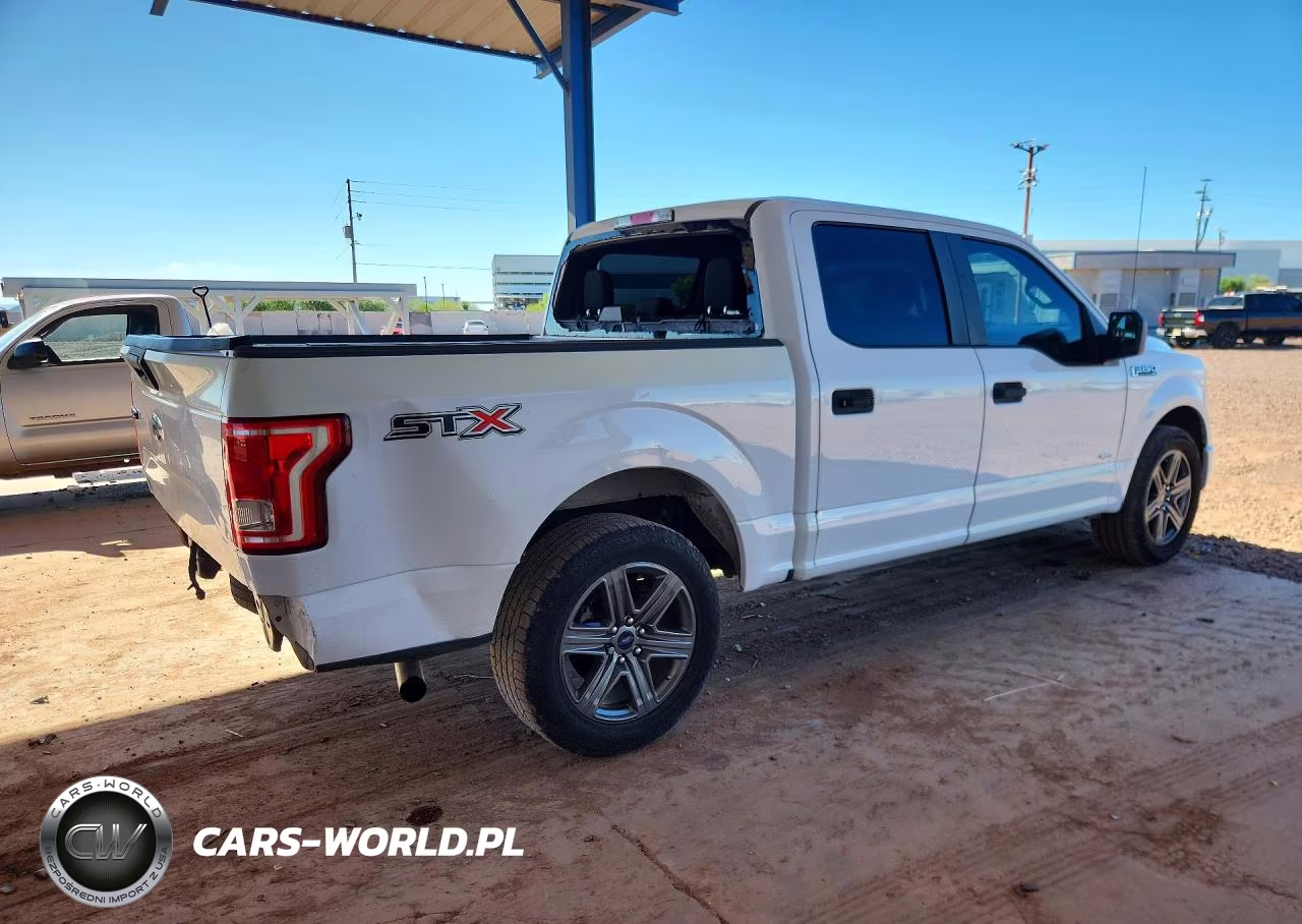 2017 Ford F150 Supercrew VIN:1FTEW1CP8HKC19033 - 3