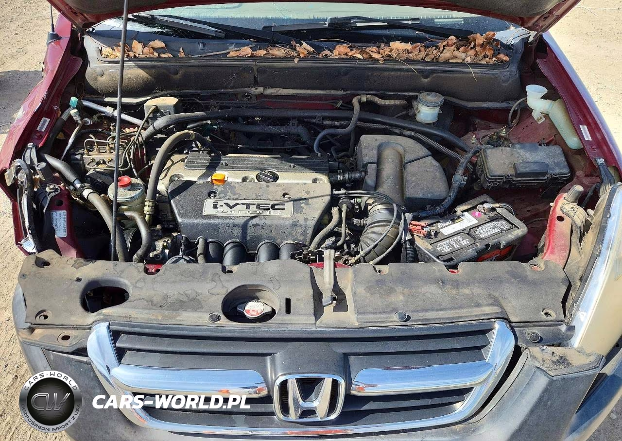 2004 Honda Cr-V Ex VIN:JHLRD78884C001922 - 11