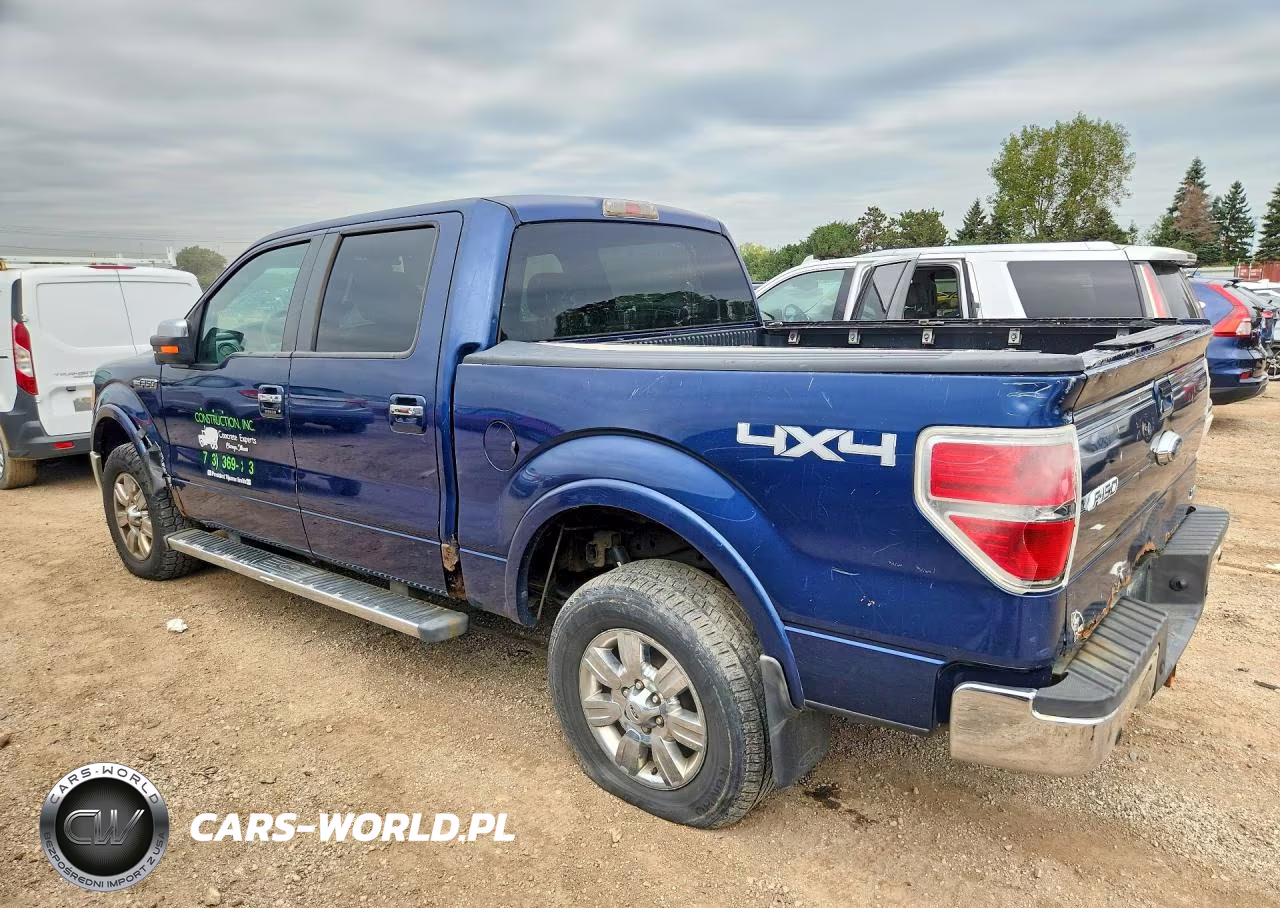 2010 Ford F150 Supercrew VIN:1FTFW1EV0AFC71528 - 2