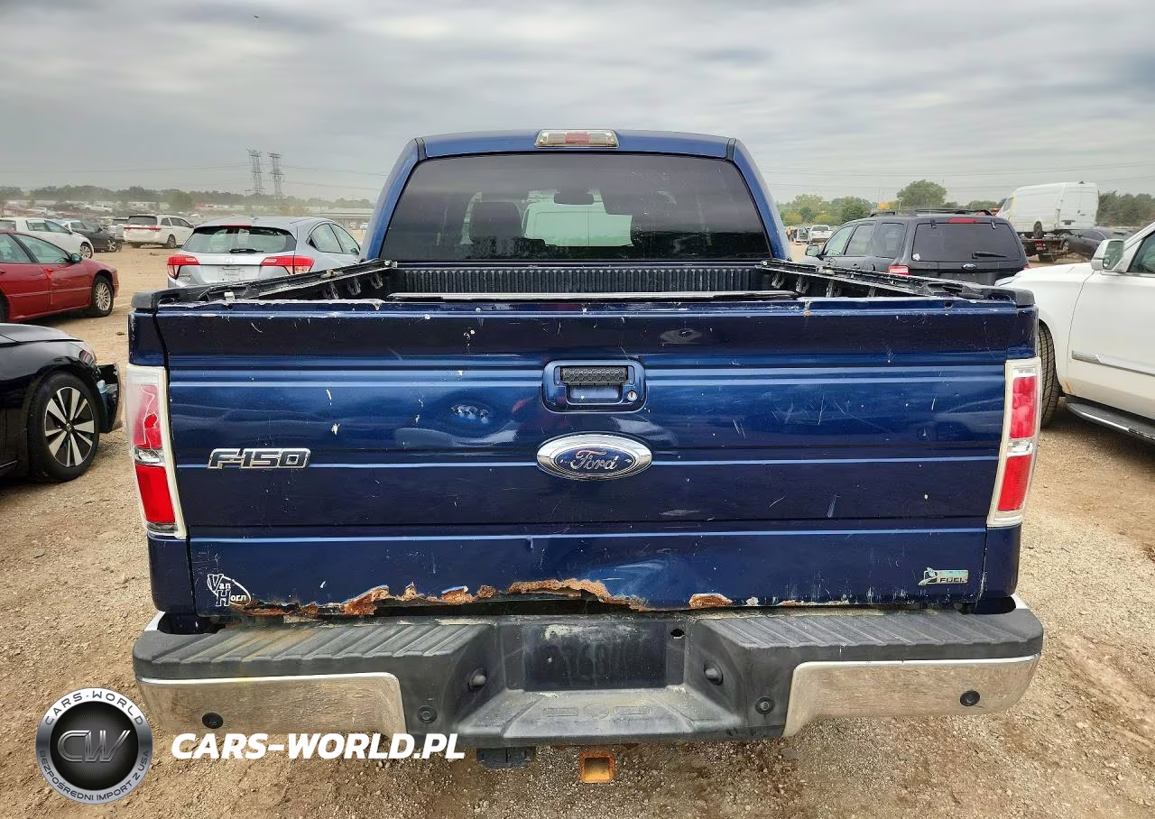 2010 Ford F150 Supercrew VIN:1FTFW1EV0AFC71528 - 6
