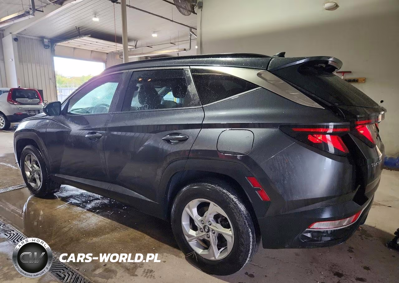 2024 Hyundai Tucson Sel VIN:5NMJBCDE5RH351330 - 2