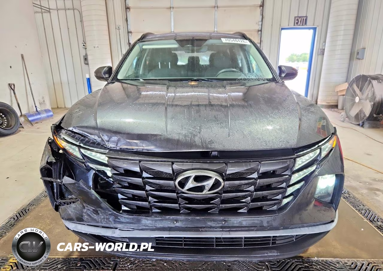 2024 Hyundai Tucson Sel VIN:5NMJBCDE5RH351330 - 5