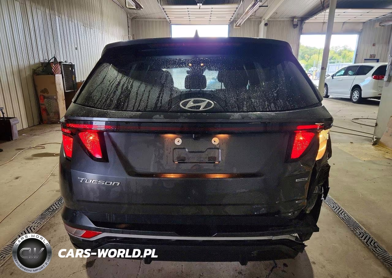 2024 Hyundai Tucson Sel VIN:5NMJBCDE5RH351330 - 6