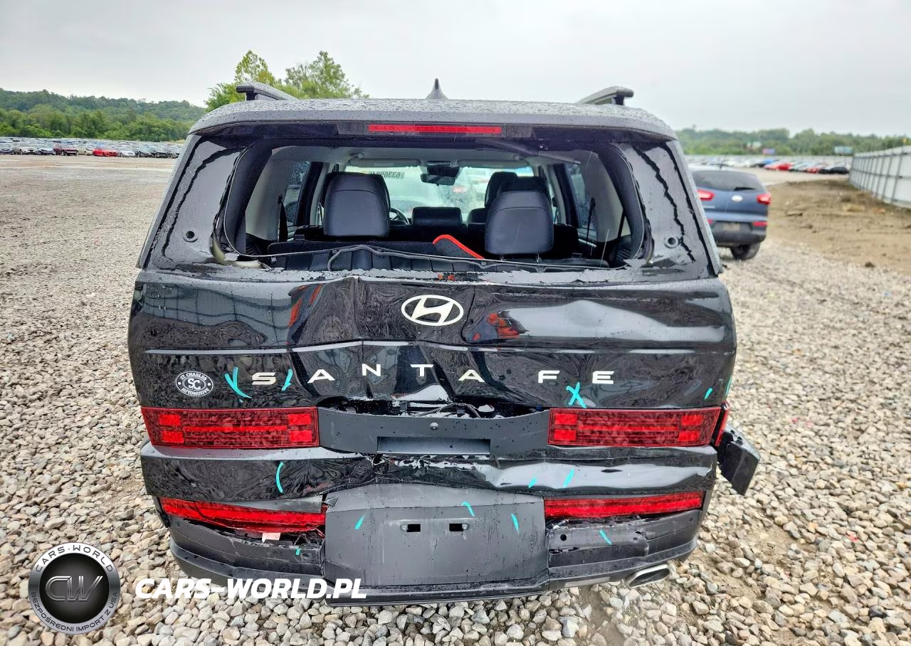 2024 Hyundai Santa Fe Sel VIN:5NMP24GL8RH001717 - 6