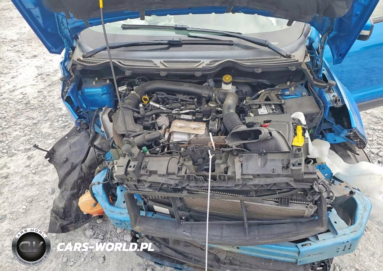 2018 Ford Ecosport Se VIN:MAJ3P1TE4JC236307 - 12