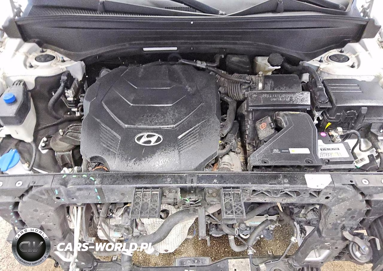 2022 Hyundai Palisade Calligraphy VIN:KM8R74HE8NU395664 - 12